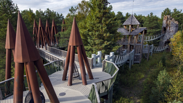 Wild Walk treetop course canopy view